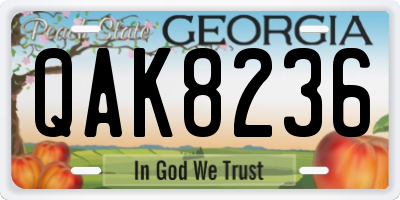 GA license plate QAK8236
