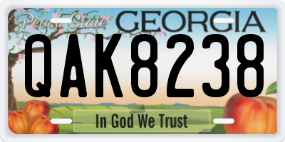 GA license plate QAK8238