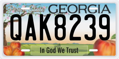 GA license plate QAK8239