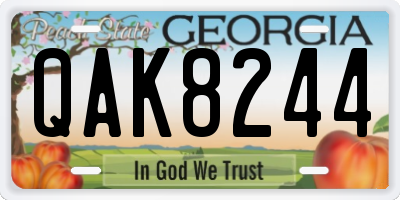 GA license plate QAK8244