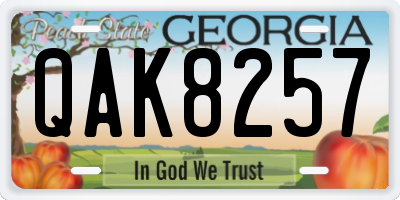 GA license plate QAK8257