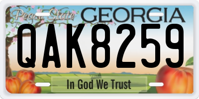 GA license plate QAK8259