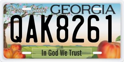 GA license plate QAK8261