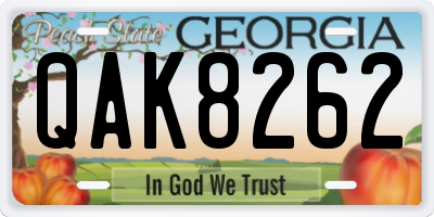 GA license plate QAK8262
