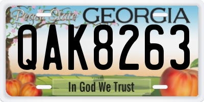 GA license plate QAK8263