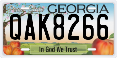 GA license plate QAK8266