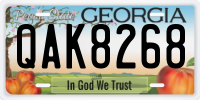 GA license plate QAK8268