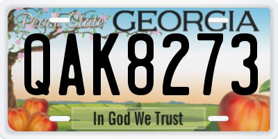 GA license plate QAK8273