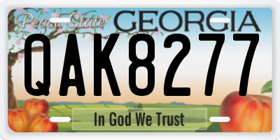 GA license plate QAK8277