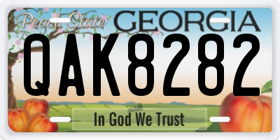 GA license plate QAK8282