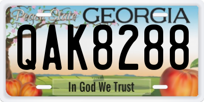 GA license plate QAK8288