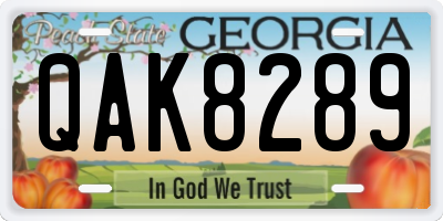 GA license plate QAK8289