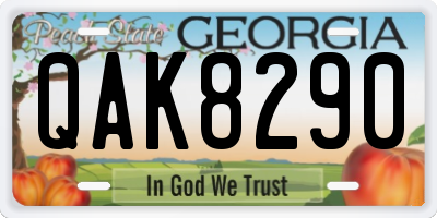 GA license plate QAK8290