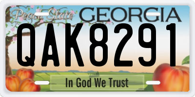 GA license plate QAK8291