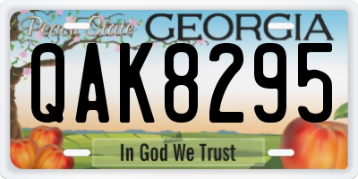 GA license plate QAK8295