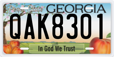GA license plate QAK8301