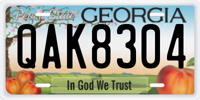 GA license plate QAK8304