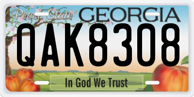GA license plate QAK8308