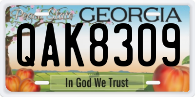 GA license plate QAK8309