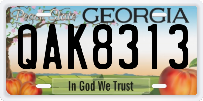 GA license plate QAK8313
