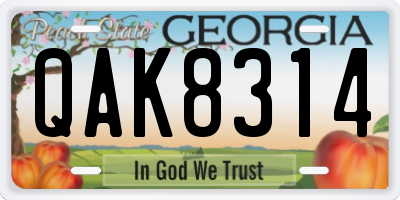 GA license plate QAK8314
