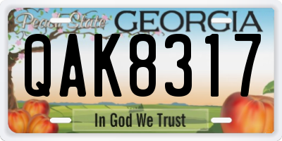GA license plate QAK8317