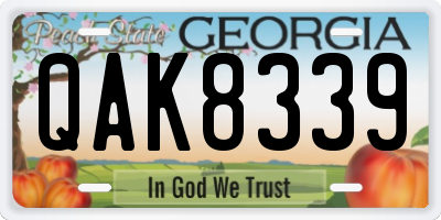 GA license plate QAK8339