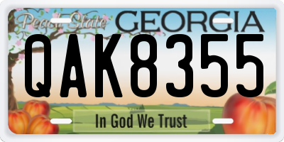 GA license plate QAK8355