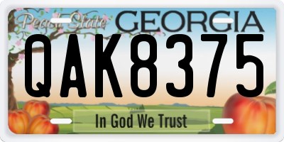 GA license plate QAK8375