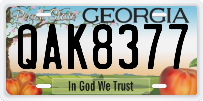 GA license plate QAK8377