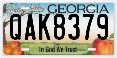 GA license plate QAK8379
