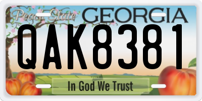 GA license plate QAK8381