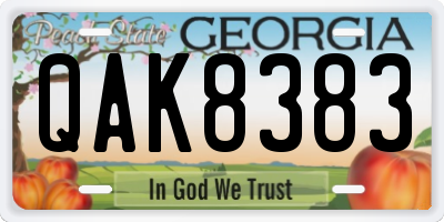 GA license plate QAK8383