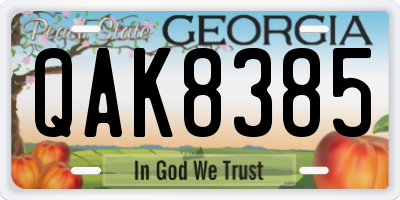 GA license plate QAK8385