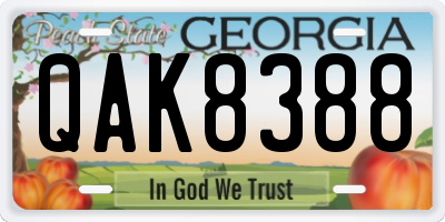 GA license plate QAK8388