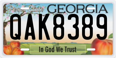GA license plate QAK8389