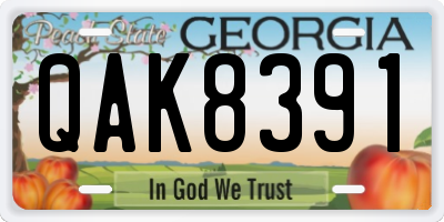 GA license plate QAK8391