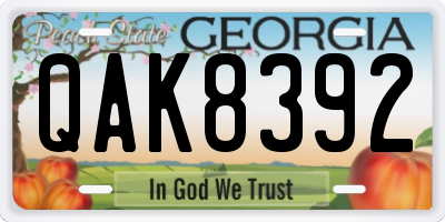 GA license plate QAK8392