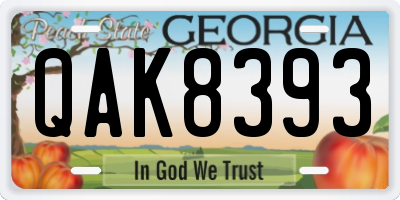 GA license plate QAK8393