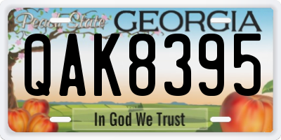 GA license plate QAK8395