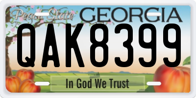 GA license plate QAK8399