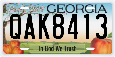 GA license plate QAK8413