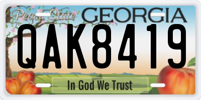 GA license plate QAK8419