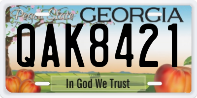 GA license plate QAK8421