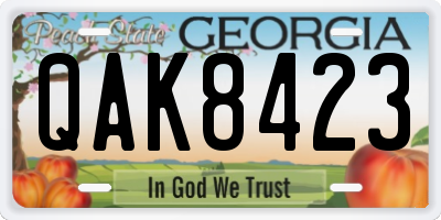 GA license plate QAK8423