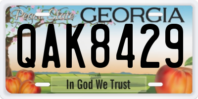 GA license plate QAK8429