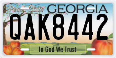 GA license plate QAK8442