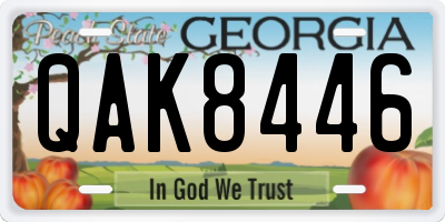 GA license plate QAK8446