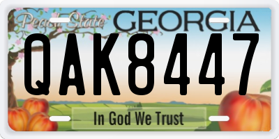GA license plate QAK8447