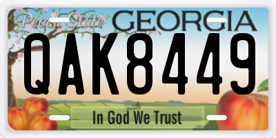 GA license plate QAK8449